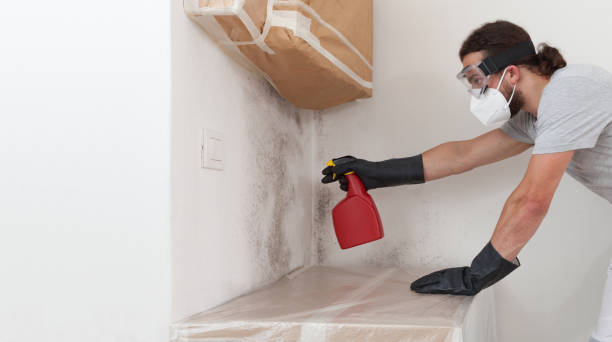 Professional Bathroom Mold Removal technician working in Chevy Chase, MD