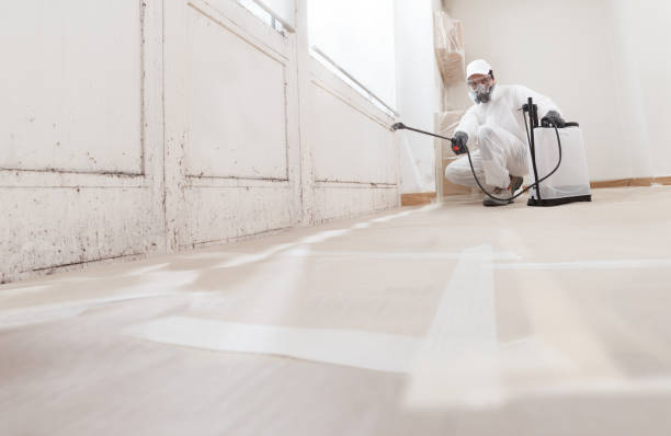 24/7 Emergency Bathroom Mold Removal experts in Chevy Chase, MD