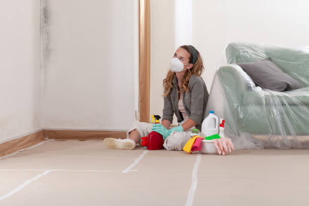Reliable Bathroom Mold Removal contractor in Chevy Chase, MD by Car Mold Remediation