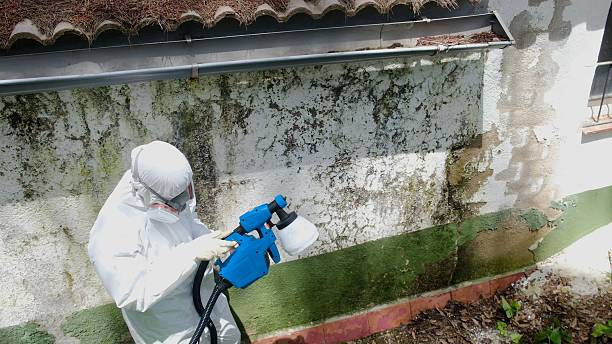 Top rated local Bathroom Mold Removal specialists in Chevy Chase, MD